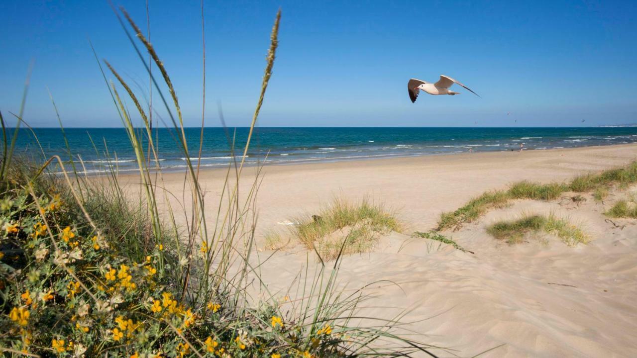 Apartamento Con Piscina Y Vistas Al Mar Aguamarina 36 奥利瓦 外观 照片